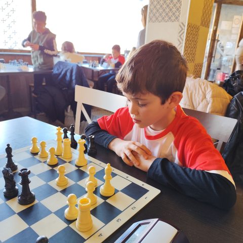 Img 20241214 113511
